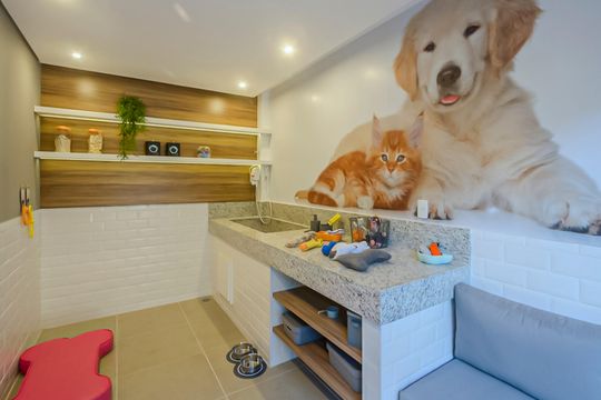 Área comum de apartamento para alugar com 1 quarto, 29m² em Vila das Belezas, São Paulo