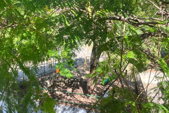 Casa de Condomínio à venda com 4 quartos, 229m² em São Francisco Xavier, Rio de Janeiro