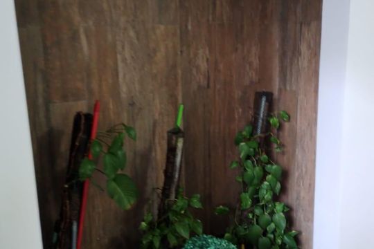 Área comum de apartamento para alugar com 3 quartos, 130m² em Cidade Ocian, Praia Grande