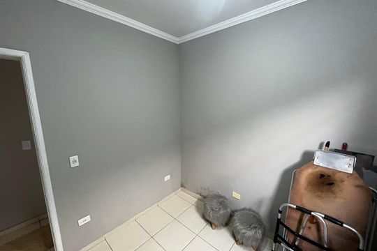 Quarto 3 de casa à venda com 3 quartos, 98m² em Chora Menino, São Paulo