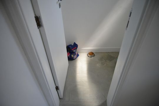 Banheiro de Serviço de apartamento à venda com 3 quartos, 124m² em Vila Bastos, Santo André