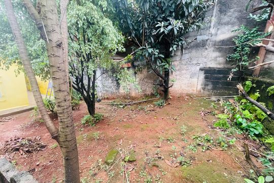 Pomar de casa à venda com 1 quarto, 170m² em Vila Florida, Guarulhos