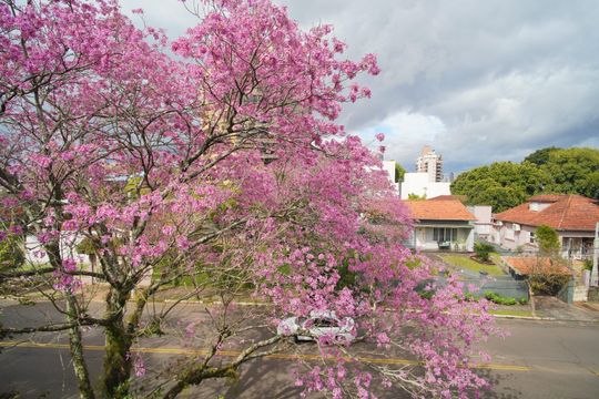 Vista da Suíte de casa para alugar com 3 quartos, 490m² em Vila Nova, Novo Hamburgo