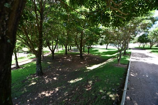 Área comum de casa de condomínio à venda com 3 quartos, 380m² em Fazenda Santa Cândida, Campinas