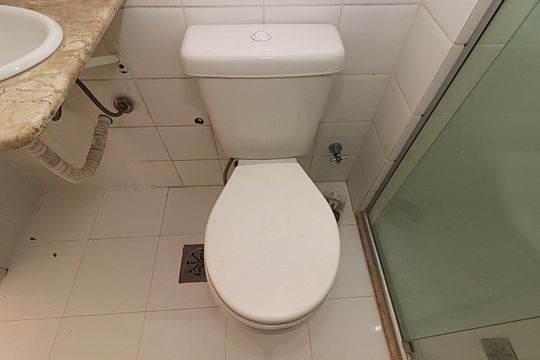 Banheiro Social - Vaso de apartamento para alugar com 3 quartos, 183m² em Bom Fim, Porto Alegre