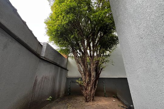 Área comum - Churrasqueira de apartamento para alugar com 1 quarto, 30m² em Vila Roque, São Paulo