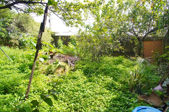 Quintal de casa à venda com 2 quartos, 186m² em Guarani, Novo Hamburgo