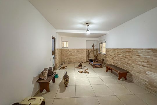 Cobertura de casa à venda com 4 quartos, 450m² em Cosme Velho, Rio de Janeiro