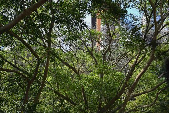 Vista de apartamento para alugar com 4 quartos, 350m² em Vila Suzana, São Paulo