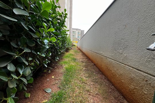 Área comum - Espaço Pet de apartamento para alugar com 2 quartos, 39m² em Imirim, São Paulo