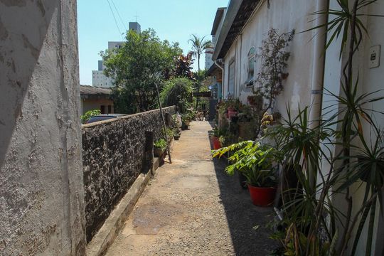 Quintal de casa à venda com 2 quartos, 400m² em Jardim Umarizal, São Paulo