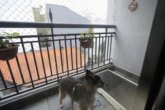 Sacada de apartamento à venda com 3 quartos, 86m² em Vila Eldizia, Santo André
