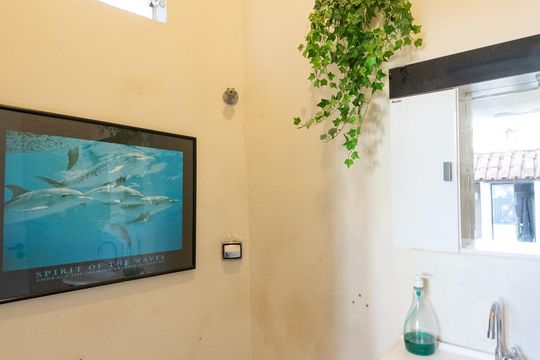 Lavabo de casa à venda com 3 quartos, 230m² em Planalto Paulista, São Paulo