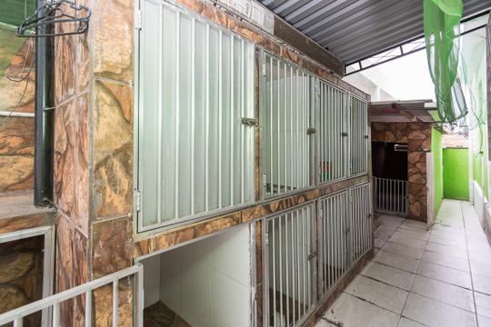 Área de Serviço - Canil de casa à venda com 4 quartos, 200m² em Penha Circular, Rio de Janeiro