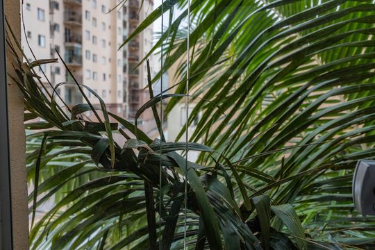 Vista da área de serviço de apartamento à venda com 2 quartos, 52m² em Centro, Diadema