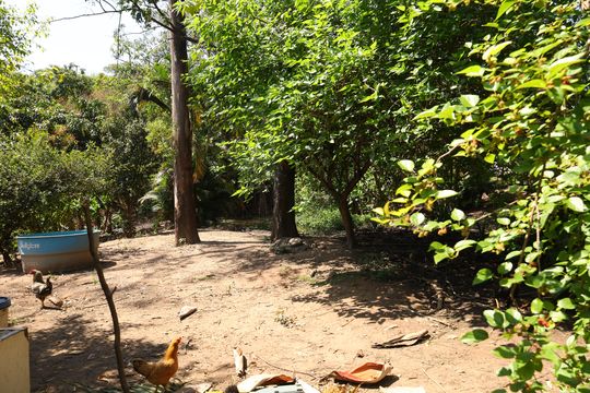 Área comum - Área verde de casa de condomínio para alugar com 3 quartos, 185m² em Fazenda Aricanduva, São Paulo