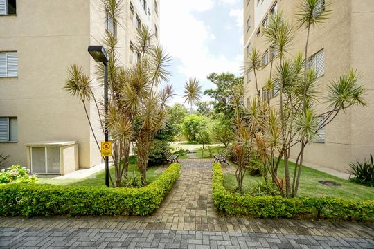 Área comum de apartamento para alugar com 2 quartos, 49m² em Vila Moreira, São Paulo