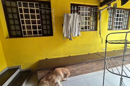 Quintal de casa à venda com 3 quartos, 194m² em Vila Rosalia, Guarulhos