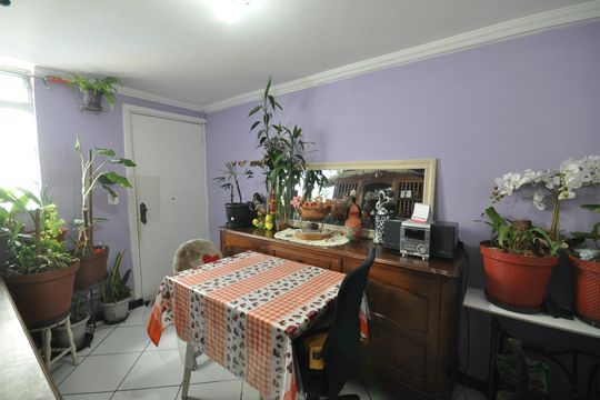Apartamento à venda com 3 quartos, 54m² em Jardim Julieta, São Paulo