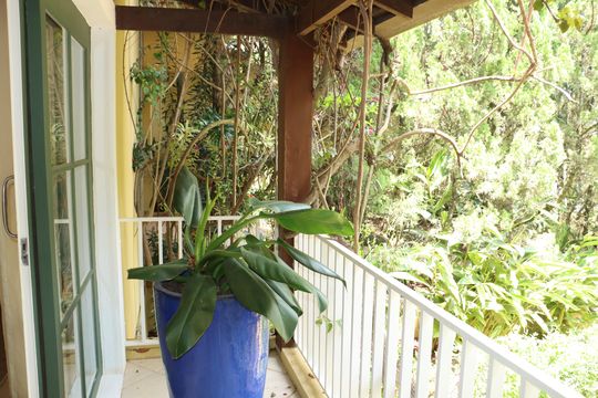 Casa de Condomínio para alugar com 6 quartos, 1200m² em Jardim Mediterraneo, Cotia