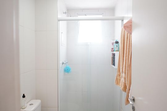 Banheiro de apartamento para alugar com 2 quartos, 55m² em Brás, São Paulo