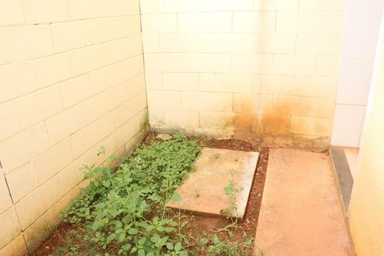 Área Externa de casa de condomínio para alugar com 2 quartos, 80m² em Chácara Ondas Verdes, Cotia