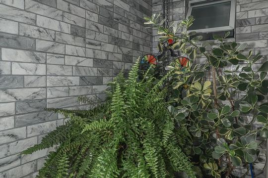 Jardim de inverno de casa à venda com 2 quartos, 85m² em Santa Rosa de Lima, Porto Alegre