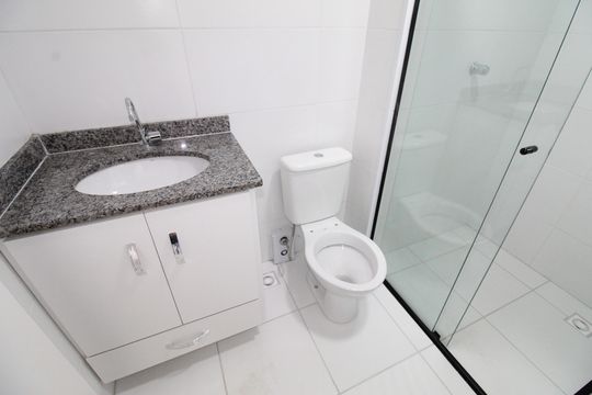 Banheiro Social de apartamento para alugar com 2 quartos, 54m² em Parque Industrial, São José dos Campos