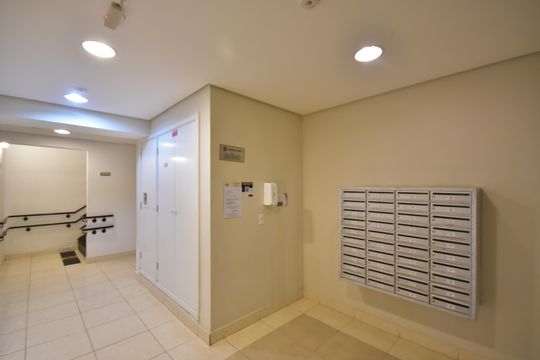 Hall Social de apartamento para alugar com 2 quartos, 42m² em Jardim Helga, São Paulo