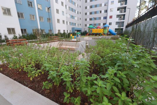 Área comum - Horta de apartamento para alugar com 2 quartos, 34m² em Cidade São Mateus, São Paulo