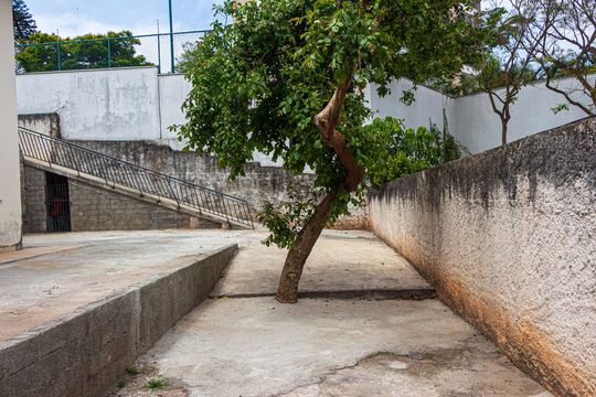 Quintal de casa para alugar com 1 quarto, 600m² em Alves de Lima, São Paulo
