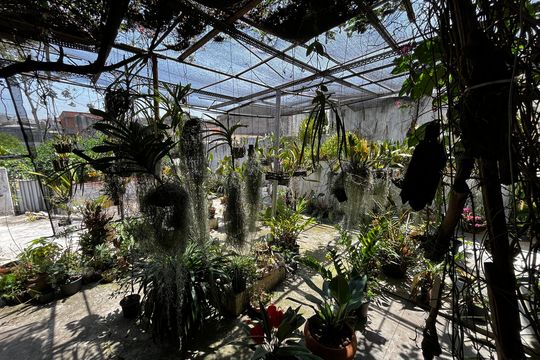 Quintal de casa à venda com 2 quartos, 110m² em Casa Verde, São Paulo