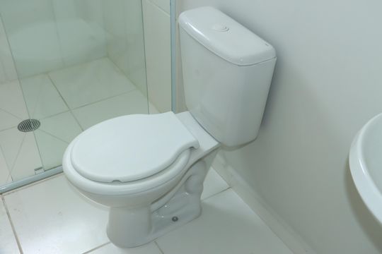 Banheiro Social de apartamento para alugar com 2 quartos, 82m² em Parque Esplanada do Embu, Embu das Artes