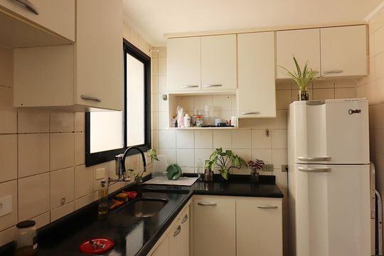 Cozinha e Área de Serviço de apartamento para alugar com 2 quartos, 47m² em Vila Olga, São Bernardo do Campo