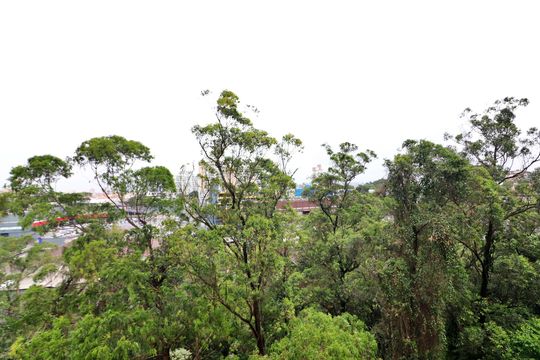 Quarto 1 Vista de apartamento para alugar com 2 quartos, 49m² em Parque Bristol, São Bernardo do Campo