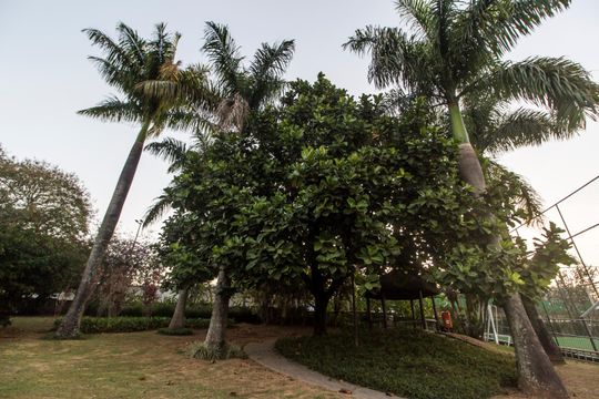 Área comum de casa de condomínio à venda com 4 quartos, 645m² em Residencial Zero (tambore), Santana de Parnaíba