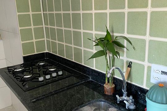 Cozinha de apartamento para alugar com 2 quartos, 43m² em Santo Cristo, Rio de Janeiro
