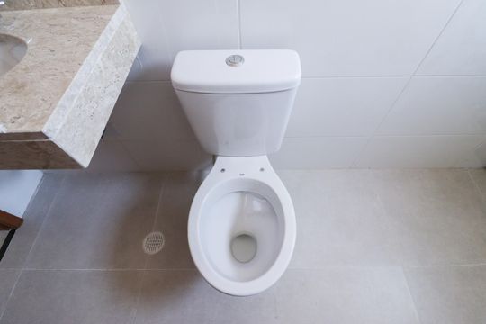 Banheiro de apartamento para alugar com 2 quartos, 40m² em Água Fria, São Paulo