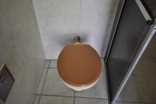 Banheiro 5 de casa para alugar com 3 quartos, 999m² em Vila Albertina, São Paulo