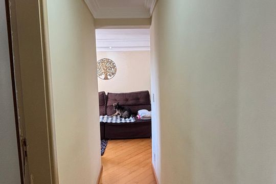 Corredor de apartamento à venda com 2 quartos, 50m² em Parque Erasmo Assunção, Santo André