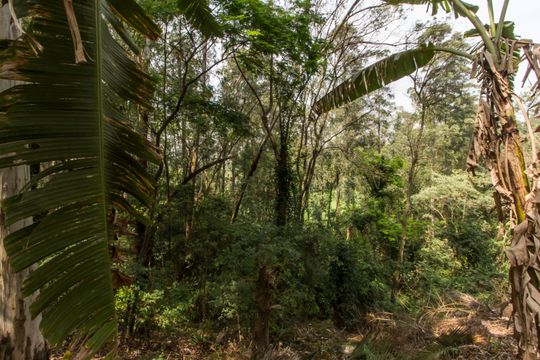 Área comum de apartamento à venda com 4 quartos, 350m² em Alphaville, Santana de Parnaíba