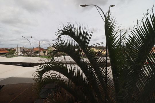 Cozinha Vista de apartamento para alugar com 2 quartos, 45m² em Conjunto Habitacional Jardim das Palmeiras, Ribeirão Preto