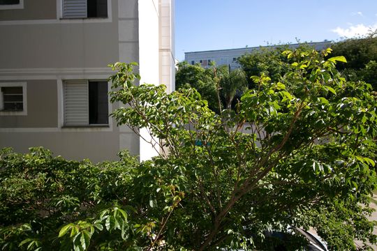 Vista do Quarto 1 de apartamento para alugar com 2 quartos, 43m² em Água Chata, Guarulhos