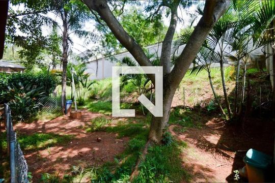 Área comum - Espaço pet de apartamento para alugar com 2 quartos, 43m² em Água Chata, Guarulhos
