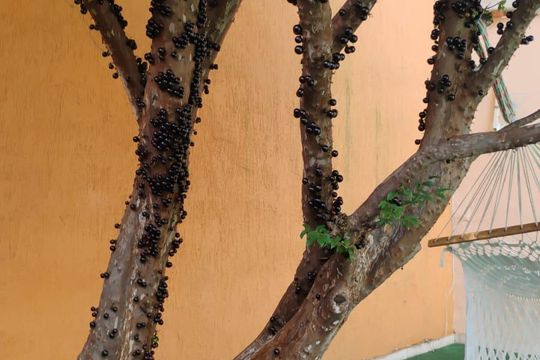 Área comum de casa à venda com 6 quartos, 500m² em Bandeiras, Osasco
