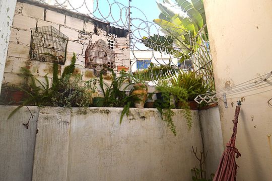 Vista da Janela do Quarto 2 de apartamento para alugar com 3 quartos, 85m² em Moinhos de Vento, Porto Alegre