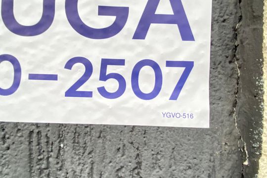Placa - ygvo-516 de casa para alugar com 2 quartos, 250m² em Cangaiba, São Paulo