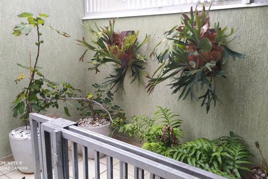 Quintal de casa à venda com 4 quartos, 221m² em Anchieta, São Bernardo do Campo