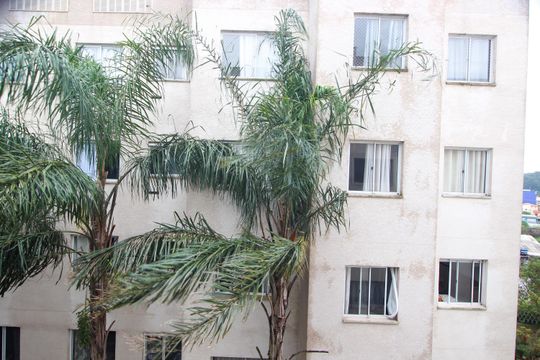 Vista do Quarto 1 de apartamento à venda com 2 quartos, 43m² em Jardim Helga, São Paulo