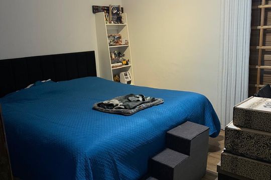 Casa à venda com 4 quartos, 505m² em Tucuruvi, São Paulo
